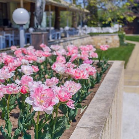 Lebed Hotel Saints Constantine and Helena Exterior foto